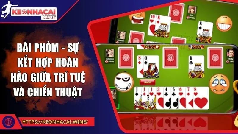 Bài Phỏm - Sự kết hợp hoàn hảo giữa trí tuệ và chiến thuật