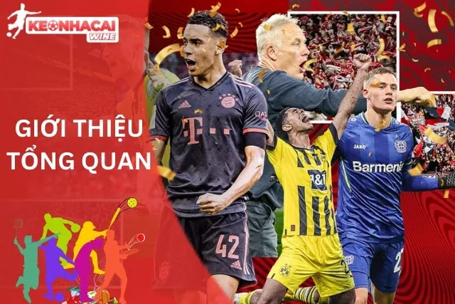 Tổng quan và vai trò của giải đấu